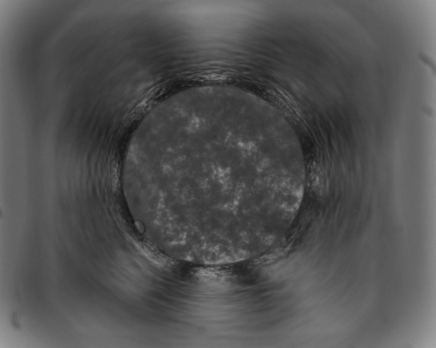 X0000096490568200802211240