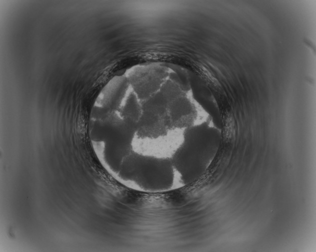 X0000096490569200802211240