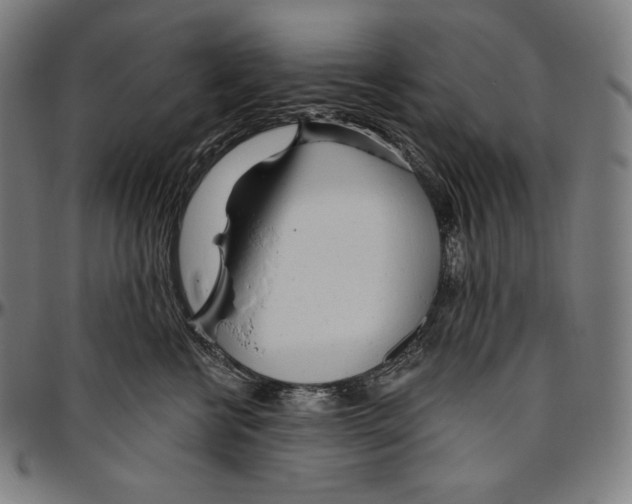 X0000096490570200802211240