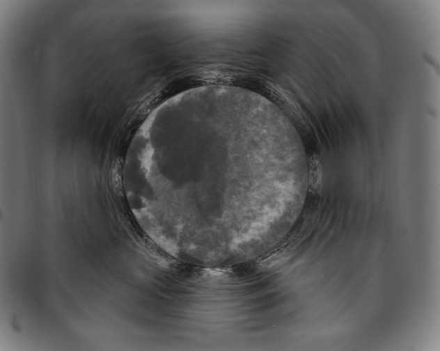 X0000096490573200802211240