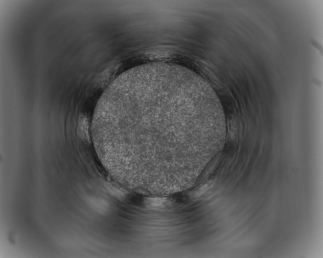 X0000096490575200802211240