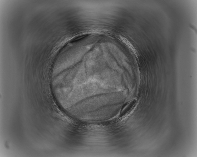 X0000096490577200802211240