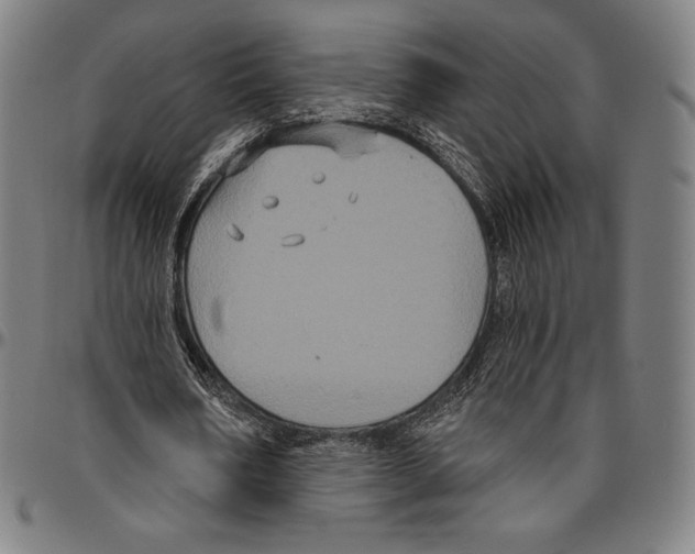 X0000096490578200802211240