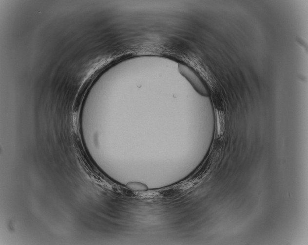 X0000096490579200802211240