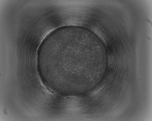 X0000096490580200802211240