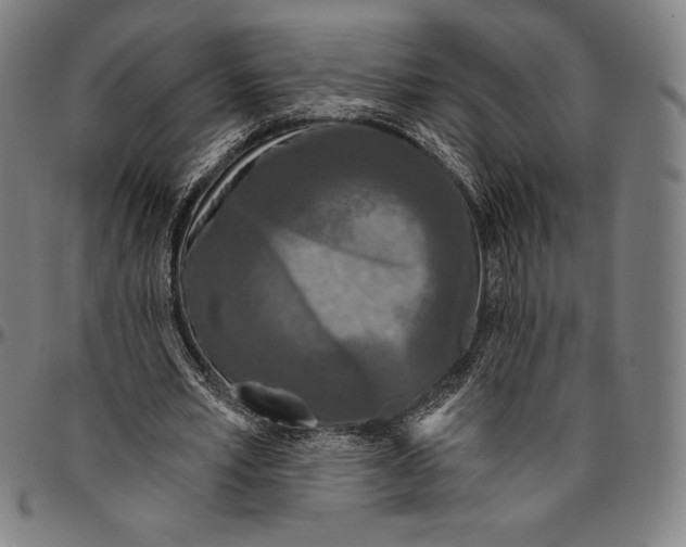 X0000096490581200802211240