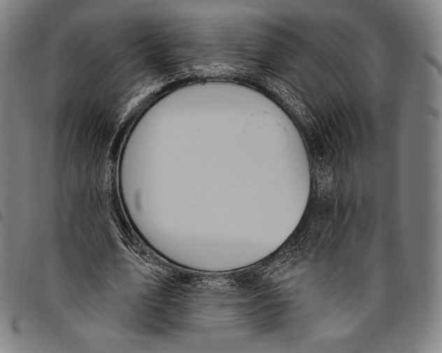 X0000096490583200802211240