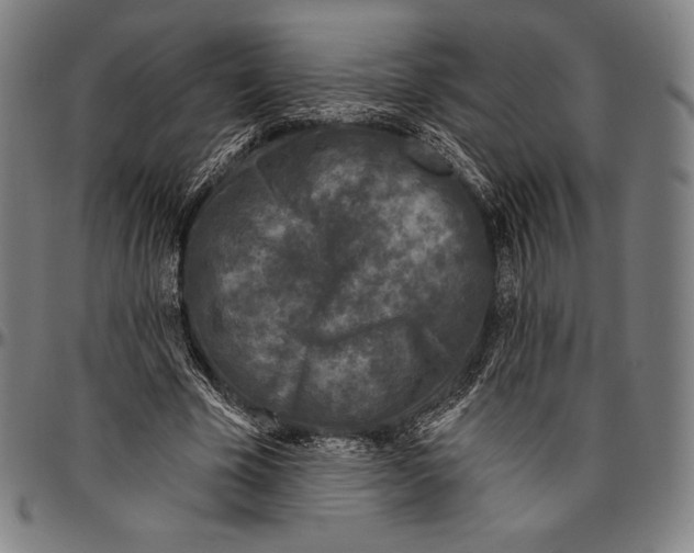 X0000096490585200802211240