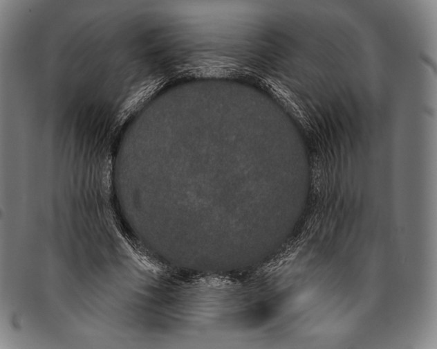 X0000096490586200802211240