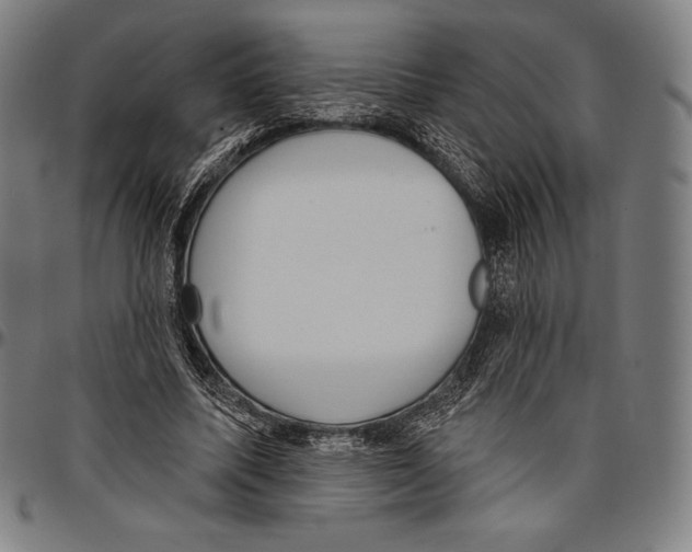 X0000096490587200802211240