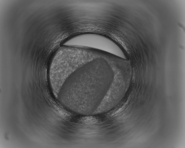 X0000096490589200802211239