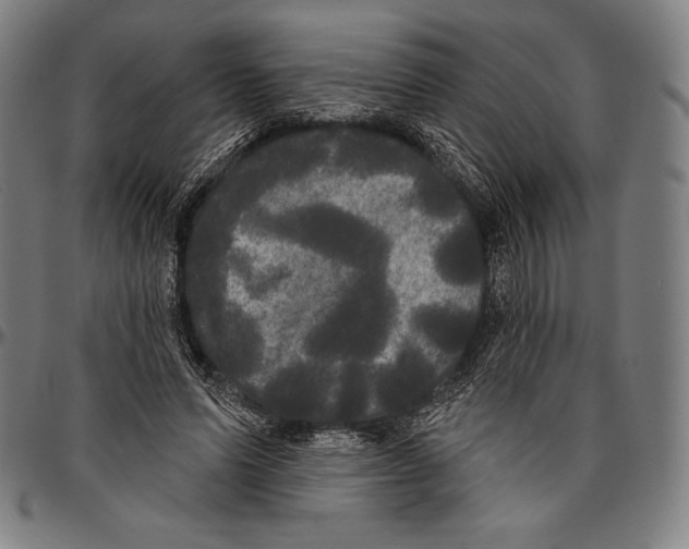 X0000096490591200802211239