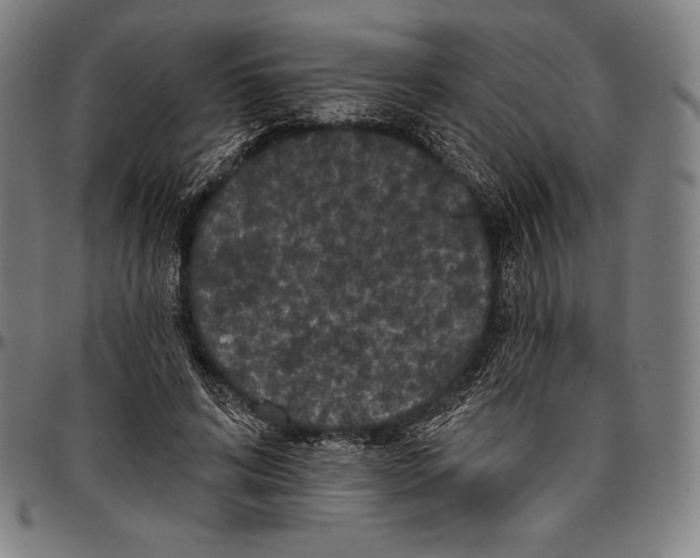 X0000096490592200802211239