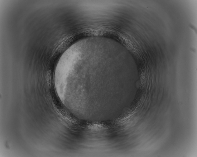 X0000096490594200802211239