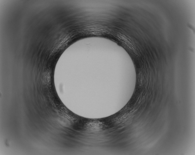 X0000096490595200802211239