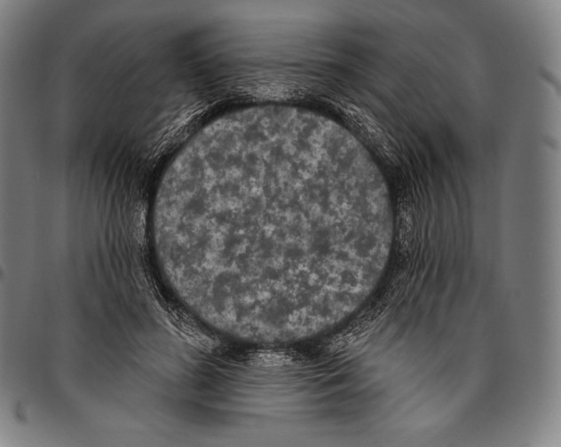 X0000096490596200802211239