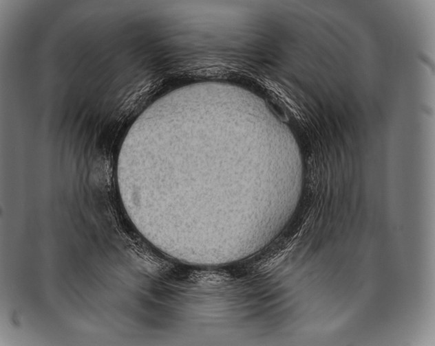 X0000096490597200802211239