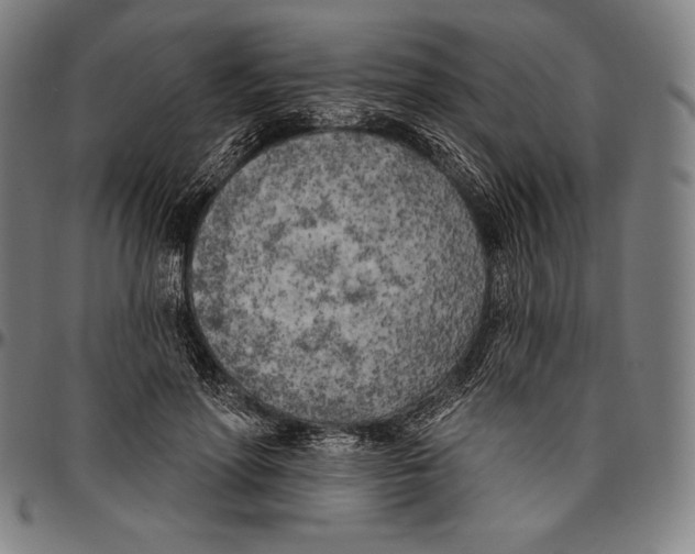 X0000096490598200802211239