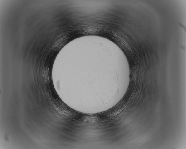 X0000096490599200802211239