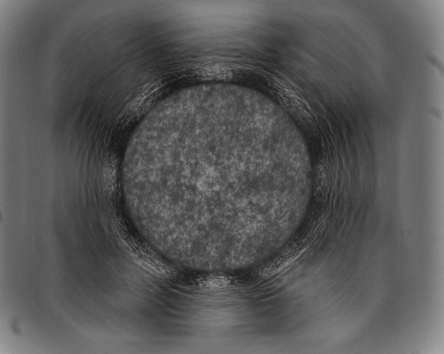 X0000096490600200802211239