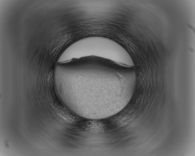 X0000096490601200802211239