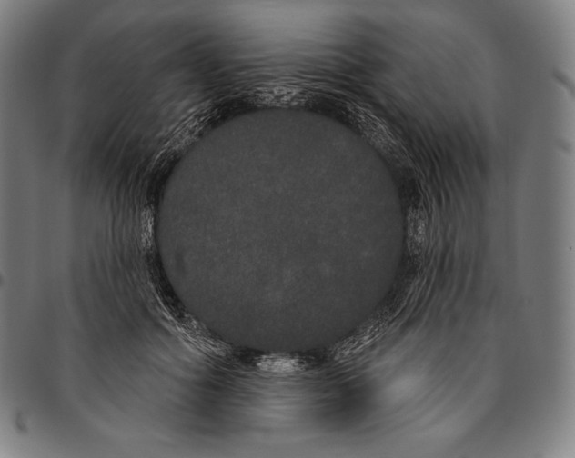 X0000096490602200802211239