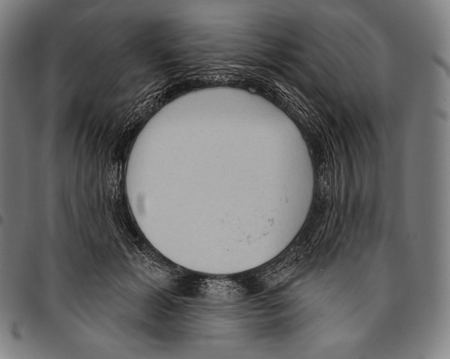 X0000096490605200802211239