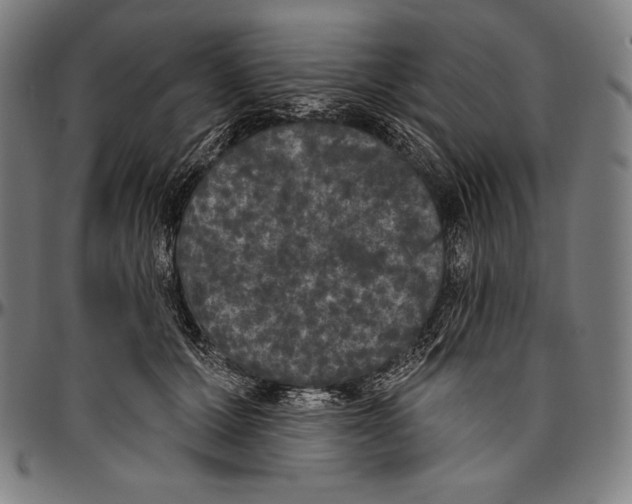 X0000096490607200802211239