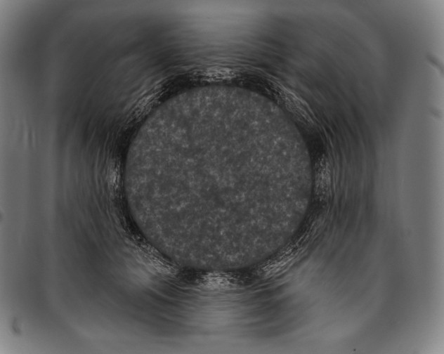 X0000096490608200802211239