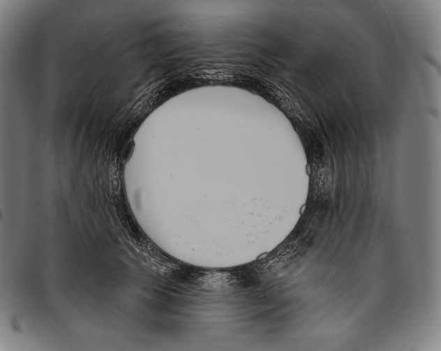 X0000096490609200802211239