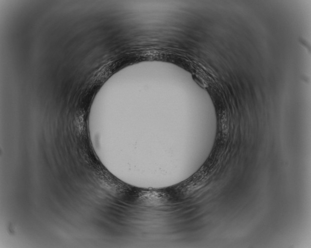 X0000096490611200802211239