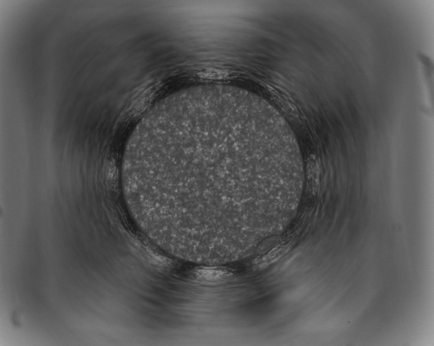 X0000096490614200802211239