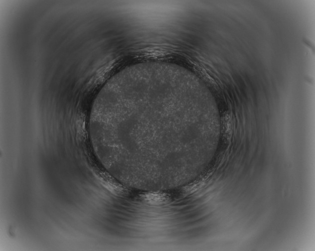 X0000096490615200802211239