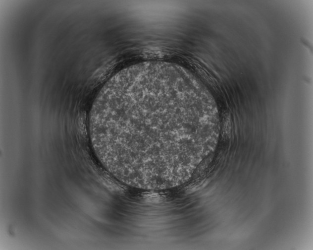 X0000096490616200802211239