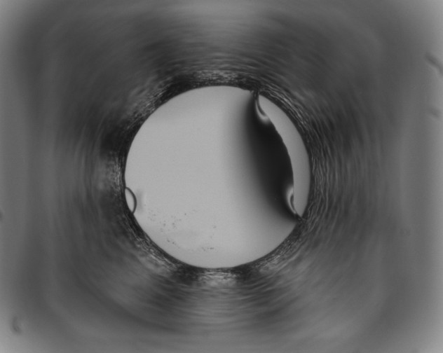 X0000096490617200802211239