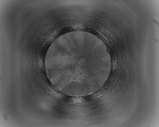 X0000096490618200802211239