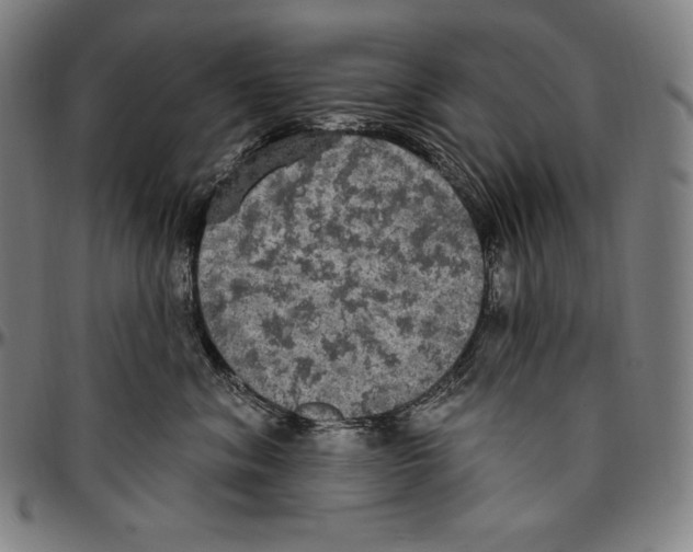 X0000096490620200802211239