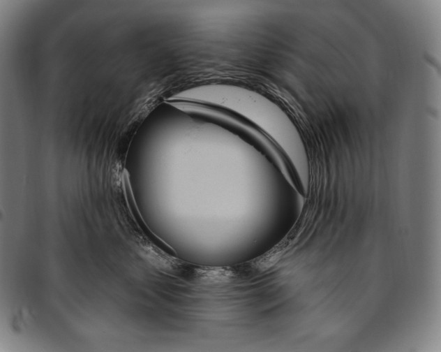 X0000096490621200802211239