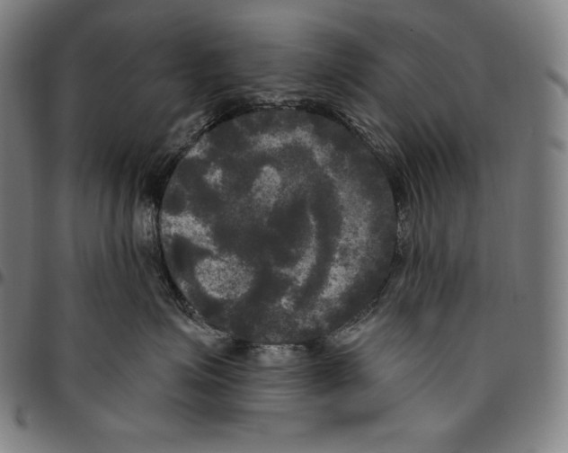 X0000096490623200802211239