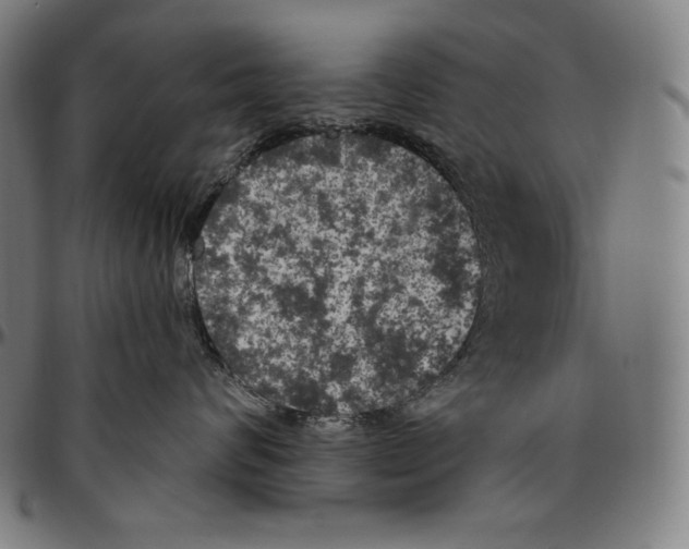 X0000096490624200802211239