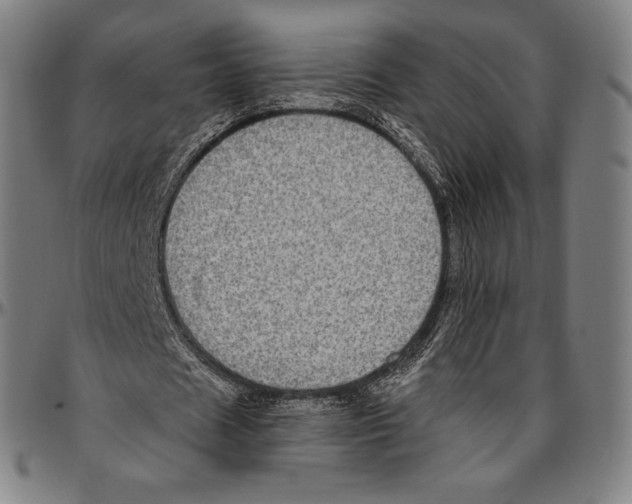 X0000096490625200802211238