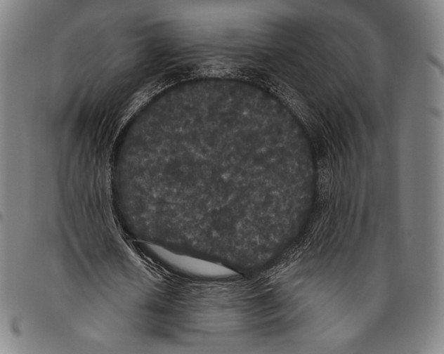 X0000096490626200802211238