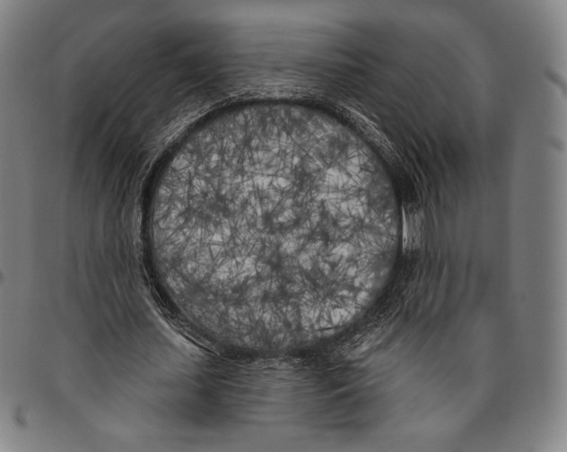 X0000096490627200802211238
