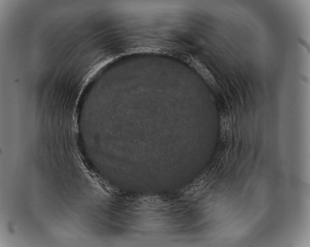 X0000096490628200802211238