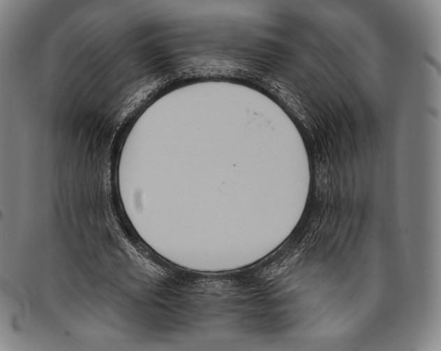 X0000096490629200802211238