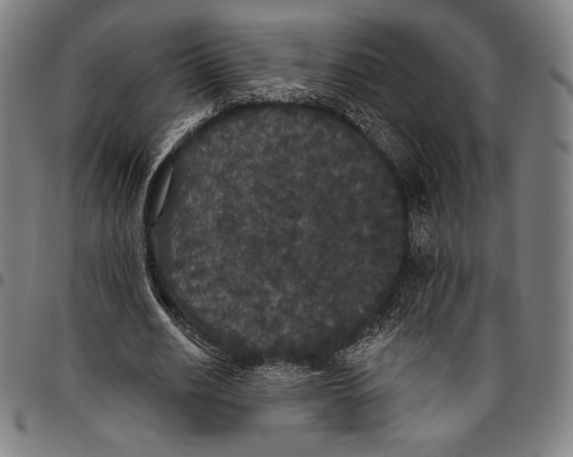 X0000096490630200802211238