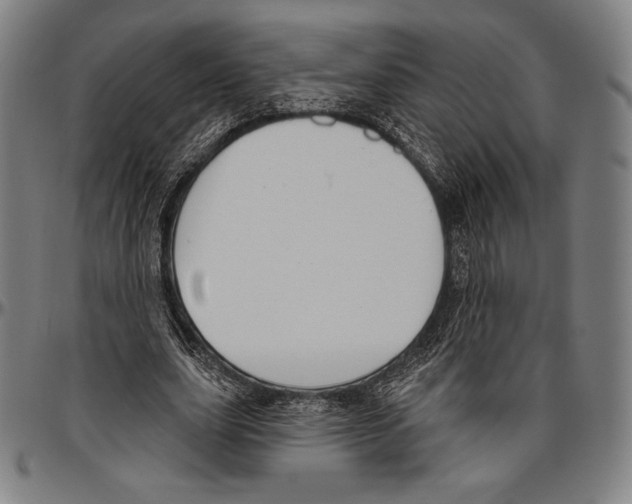 X0000096490631200802211238