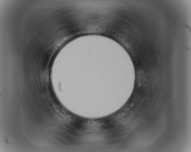 X0000096490632200802211238