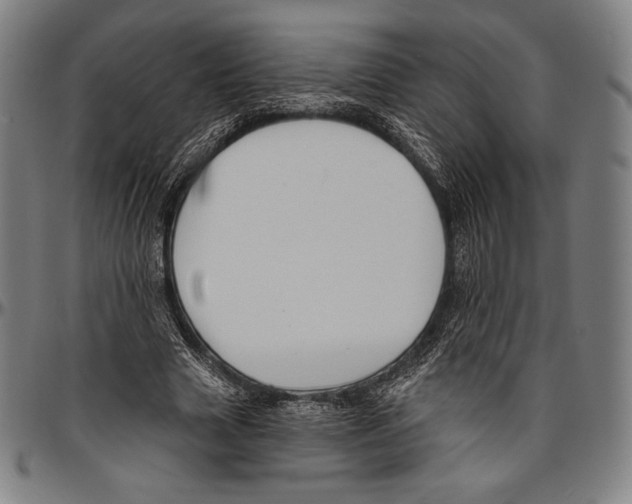 X0000096490633200802211238