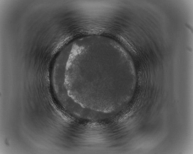 X0000096490634200802211238